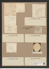Coscinodiscus peruanus Grun. (de-Toni-Nr.: Genus 202, Species 4902) Zeichnungen Sammlung Grunow Nr. 8664 (NHMW-BOT-W0378072)